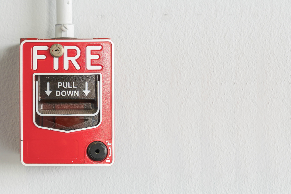 Ceiling Fan in Wellington